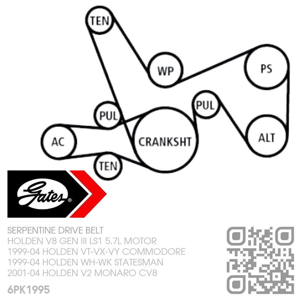 vx commodore drive belt replacement